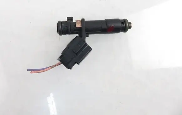 Peugeot 407 Fuel injector DEKA72