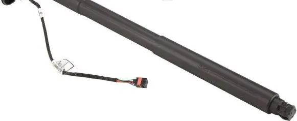 Tailgate strut