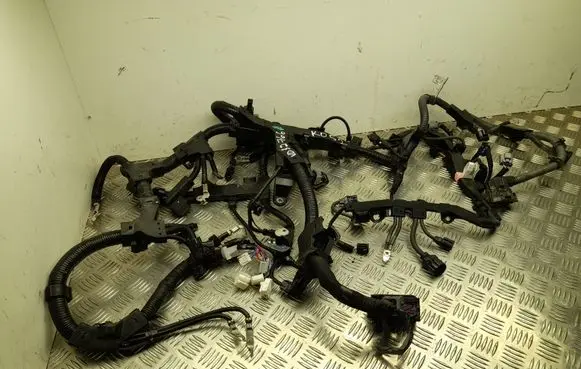 Engine installation wiring loom