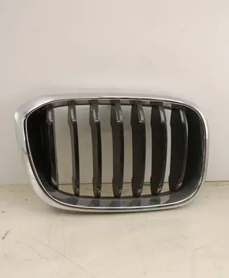 BMW X3 G01 Front grill 8091726