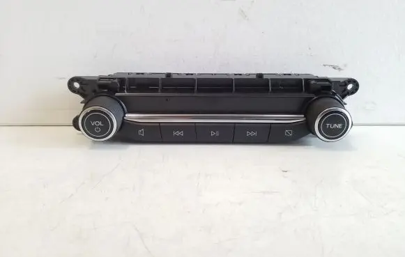 Ford Kuga III Head unit multimedia control LJ6T18K811CB