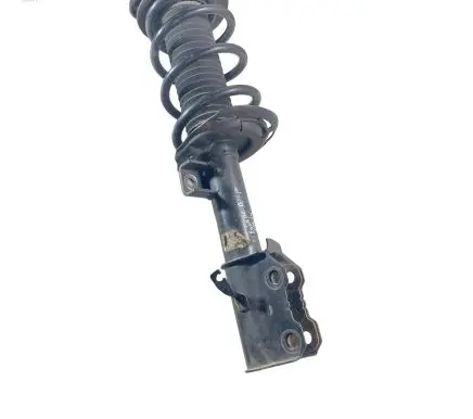 Ford Kuga III Front shock absorber with coil spring LX6118045NEF LX613K155ANC