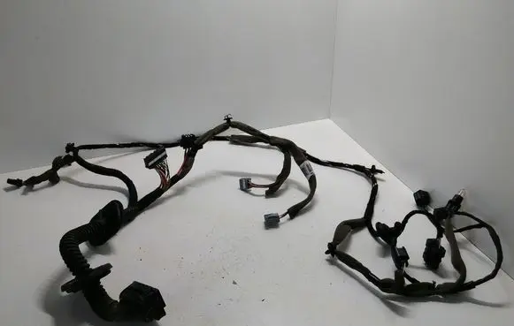 Renault Latitude (L70) Front door wiring loom 241253134R