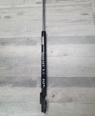 Tailgate/trunk strut/damper