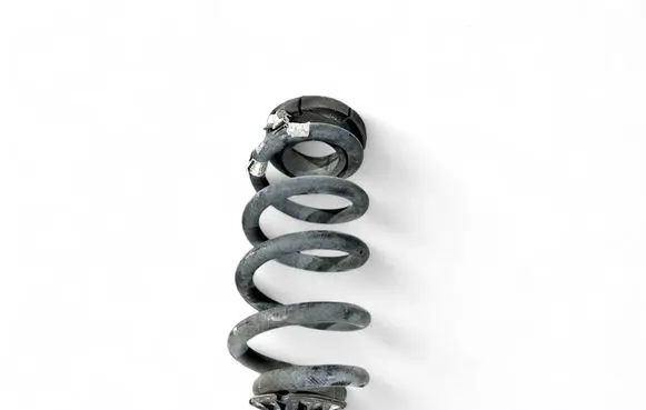 Rear coil spring
