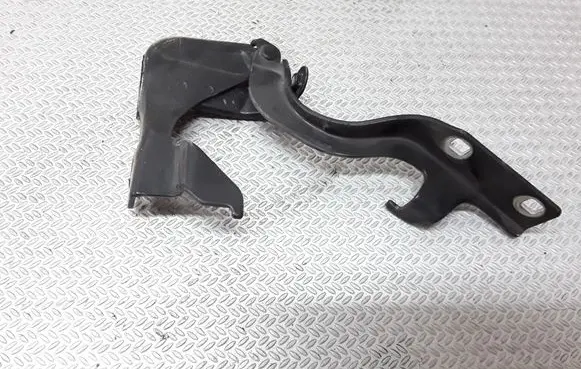 Opel Antara Engine bonnet/hood hinges