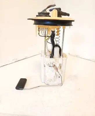 Volkswagen PASSAT B6 In-tank fuel pump 702550320