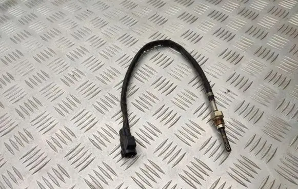 Exhaust gas temperature sensor