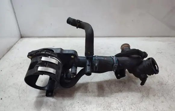 Thermostat/thermostat housing