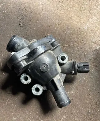 Thermostat/thermostat housing