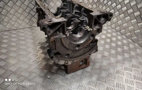 Ford Kuga I Engine block D4204T