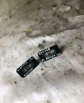 Alfa Romeo Giulia Number plate light 50532562