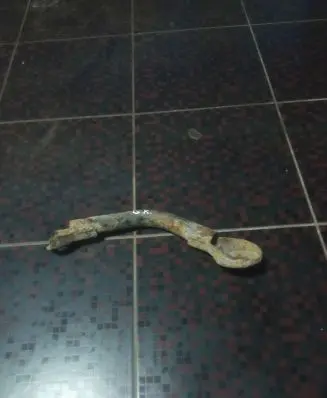 Other rear suspension part