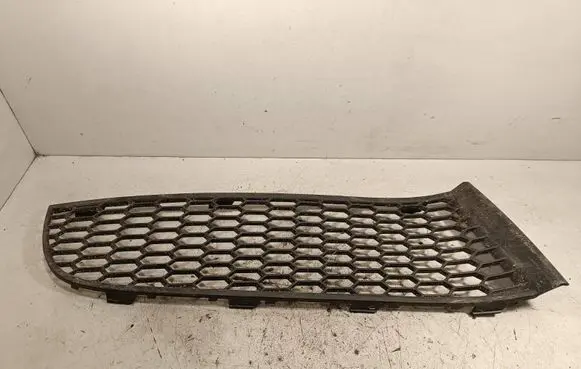 BMW 7 F01 F02 F03 F04 Front bumper lower grill 51117903674