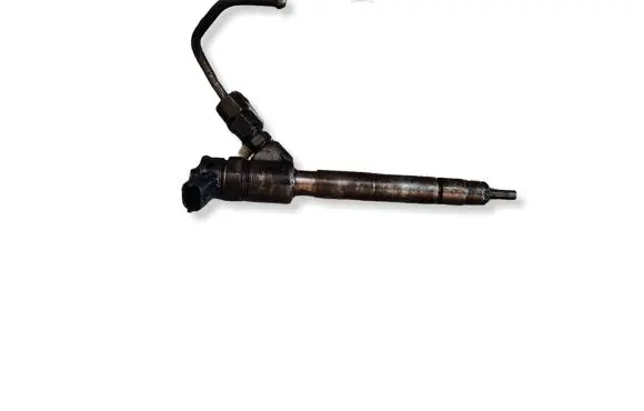 Citroen Berlingo Fuel injector 0445110955