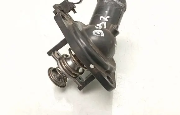Thermostat/thermostat housing