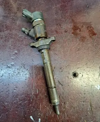Citroen Xsara Picasso Fuel injector 0445110239