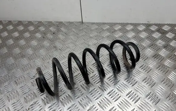 Rear coil spring