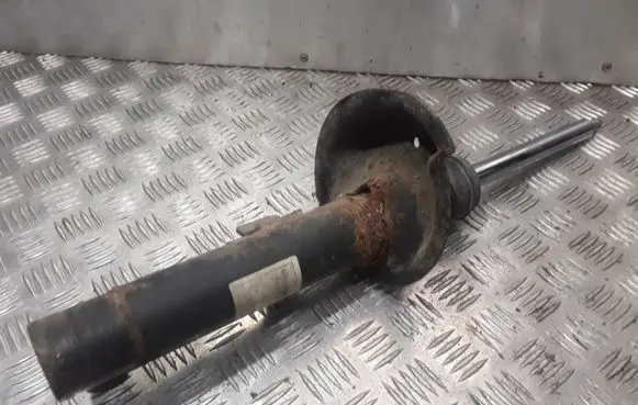 Ford Transit - Tourneo Connect Front shock absorber/damper 5T1G18058AA