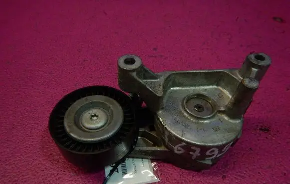 Skoda Octavia Mk2 (1Z) Timing belt/chain tensioner