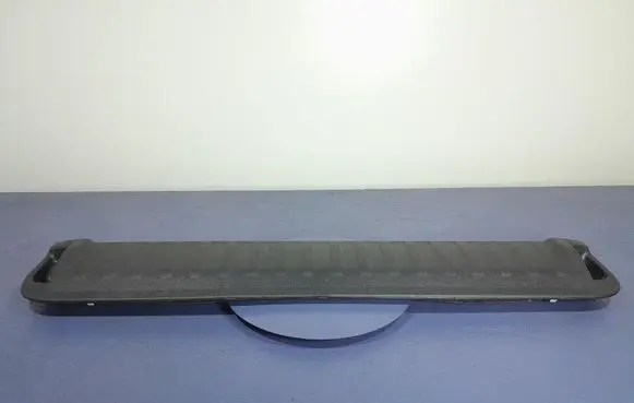 BMW X5 E53 Handrail (top trim) 7441649