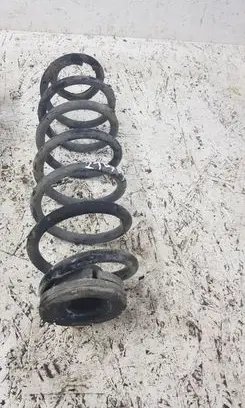 Skoda Roomster (5J) Rear coil spring