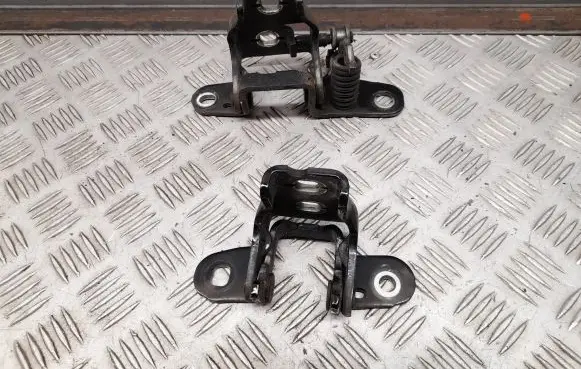 Dodge RAM Rear door hinge set 
