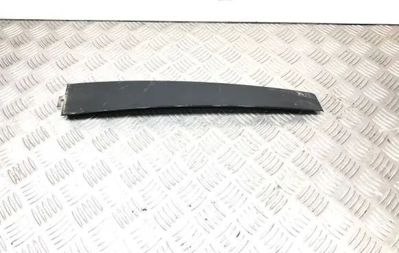Volkswagen PASSAT B5 Other rear door trim element 