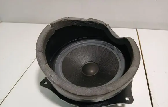 BMW X5 E53 Subwoofer speaker 61928910