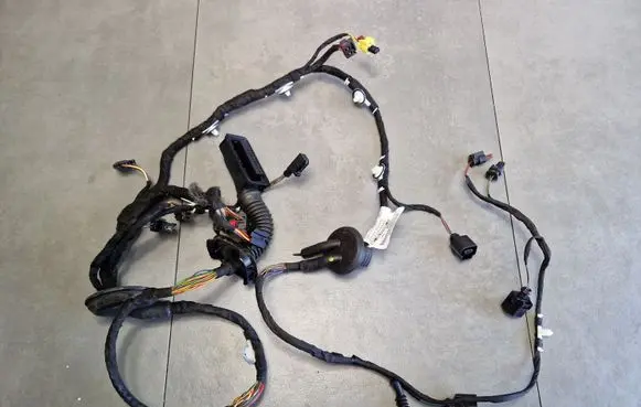 Audi A7 S7 4G Front door wiring loom 4G8971029EE