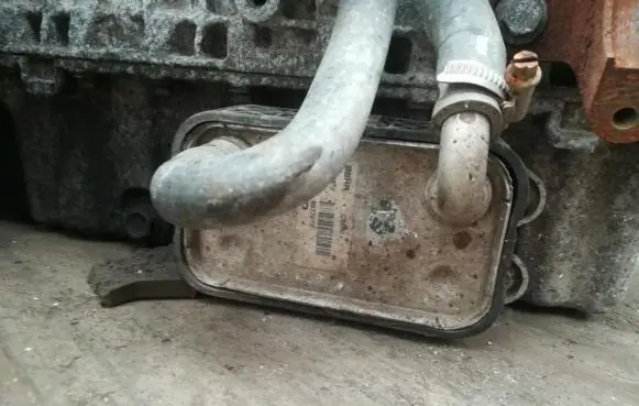 Volvo V70 Engine oil radiator 8677973