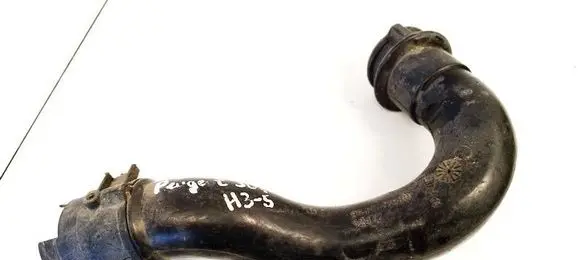 Peugeot 206 Air intake hose/pipe 9646617980