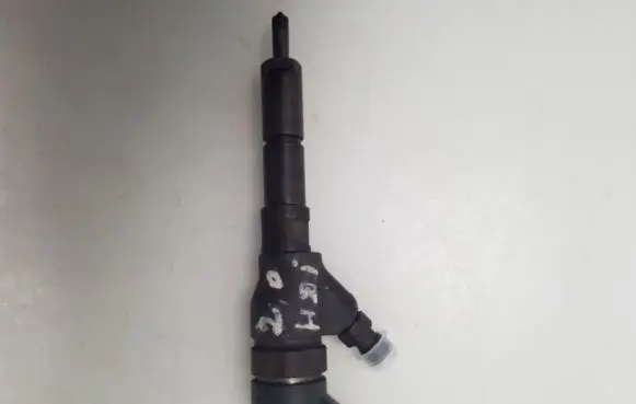 Peugeot 406 Fuel injector 9637536080
