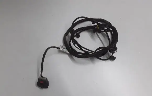 Other wiring loom