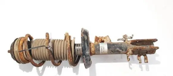 Fiat Punto (188) Front shock absorber/damper