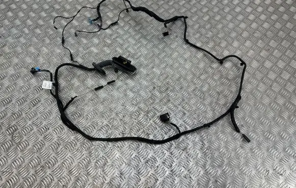 BMW 5 F10 F11 Front door wiring loom 9291048