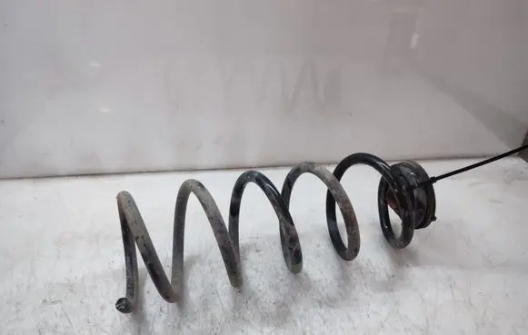 Rear coil spring