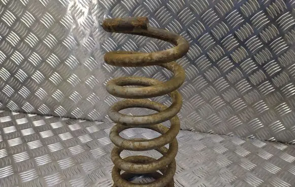 Rear coil spring