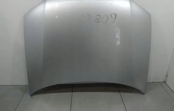 Volkswagen PASSAT B5.5 Engine bonnet/hood 