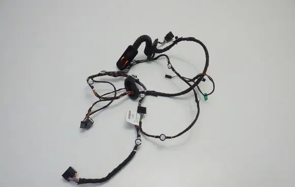 Volkswagen Taigo Front door wiring loom 2G8970131