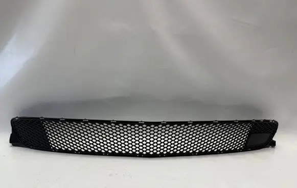 Front bumper lower grill