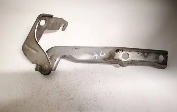 Volkswagen Tiguan Engine bonnet/hood hinges 5n0823301a