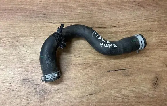 Ford Puma Engine coolant pipe/hose L1BG18B274AD