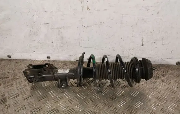 Hyundai i10 Front shock absorber/damper 0491LH