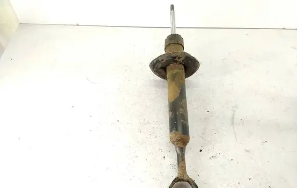 Volkswagen PASSAT B5 Front shock absorber/damper 4B0412031BG
