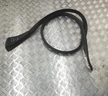 Ford F150 Front door rubber seal