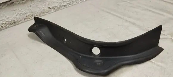 Rear/tail light trim molding
