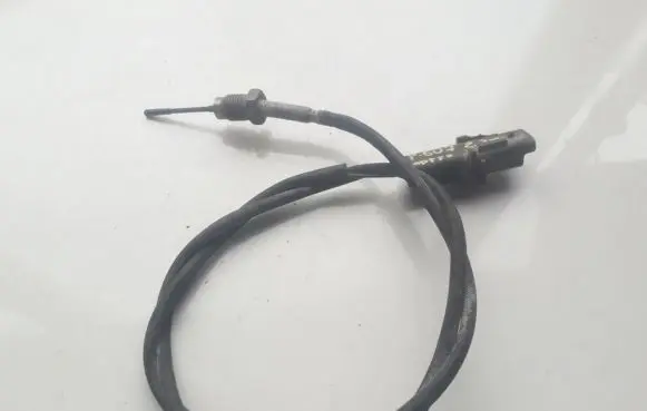 Peugeot 607 Exhaust gas temperature sensor