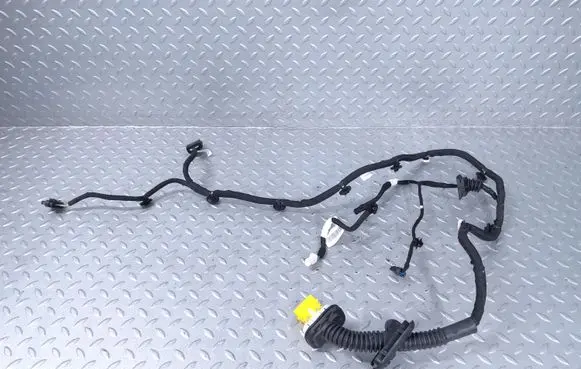 Rear door wiring loom
