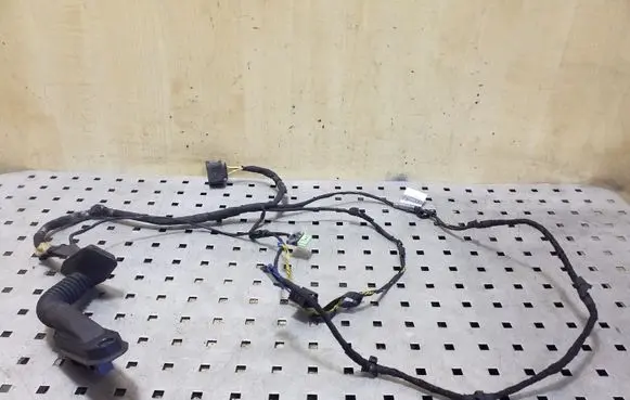 Front door wiring loom